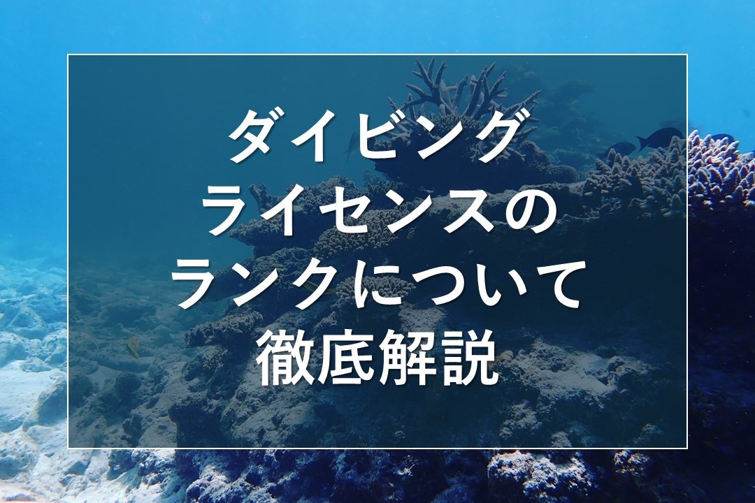 ダイビングライセンスのランクについて徹底解説