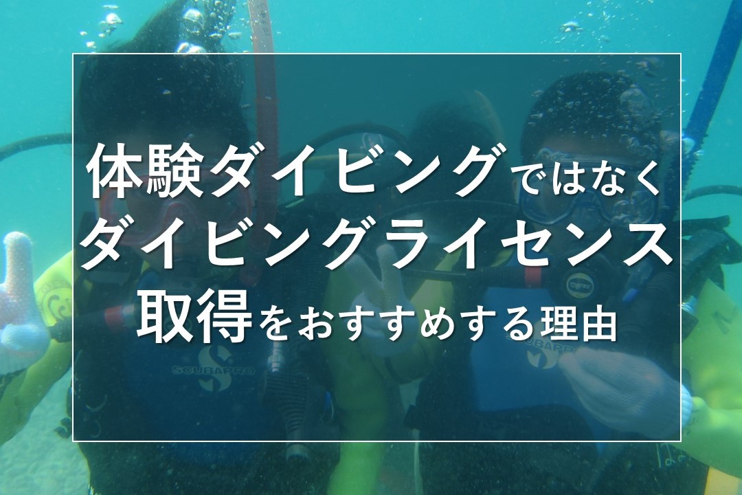 体験ダイビングではなくダイビングライセンス取得をおすすめする理由